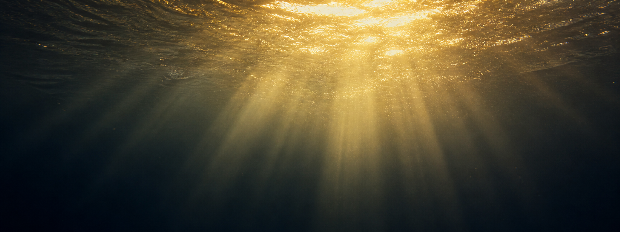 Shafts of warm gold sunlight cutting downward through deep dark water.